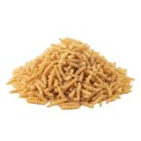 Bio tönköly tészta sodort csiga 5kg