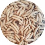 Paste bio de grâu spelta tip melcișori rulați  5kg