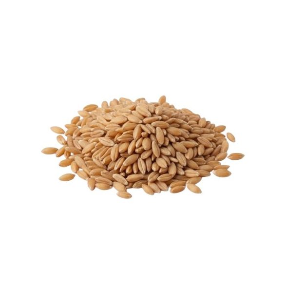 Bio tönkölybúza főzésre, őrlésre, csíráztatásra zsákos 25kg