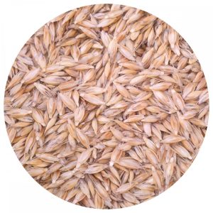 Bio alakor ősbúzafű mag zsákos 30kg