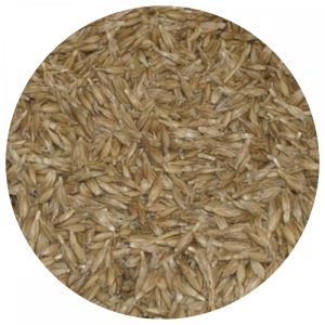 Bio tönköly búzafű mag zsákos 30kg