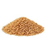 Bio őszi búza főzésre, sütésre, csíráztatásra zsákos 30kg