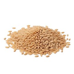 Bio alakor ősbúza főzésre, sütésre zsákos 25kg
