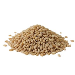 Bio alakor ősbúza gersli (gyöngy) zsákos 25kg