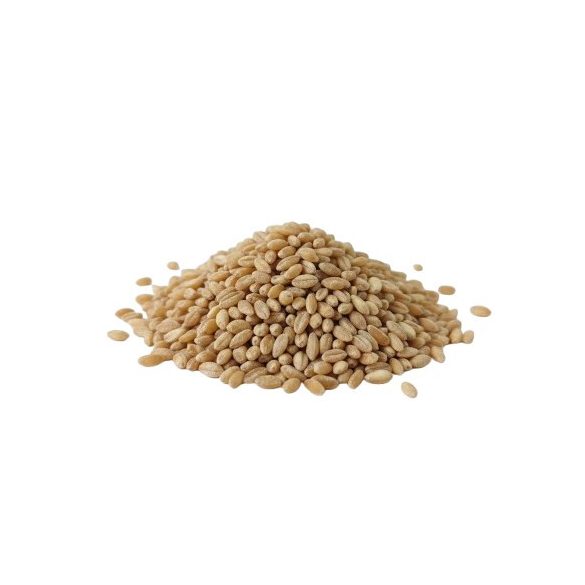 Bio alakor ősbúza gersli (gyöngy) zsákos 25kg