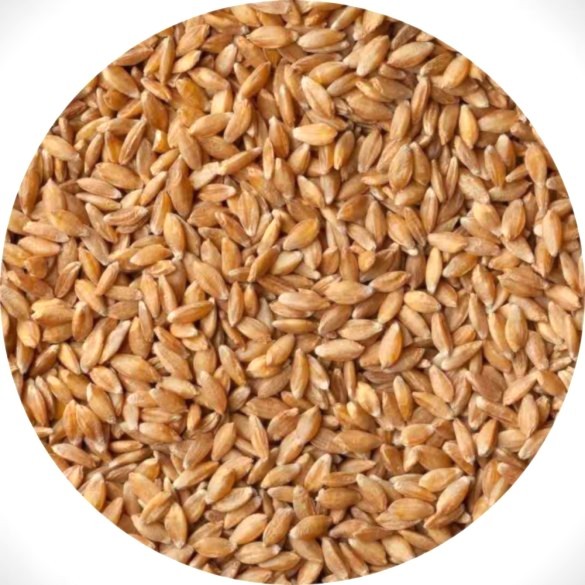 Bio alakor ősbúza gersli (gyöngy) zsákos 25kg